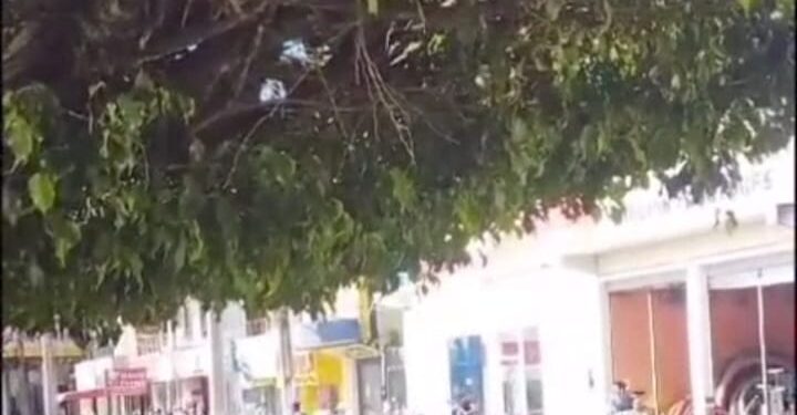 Polícia impede assalto à banco no Maranhão; gerente teve explosivos amarrados ao corpo