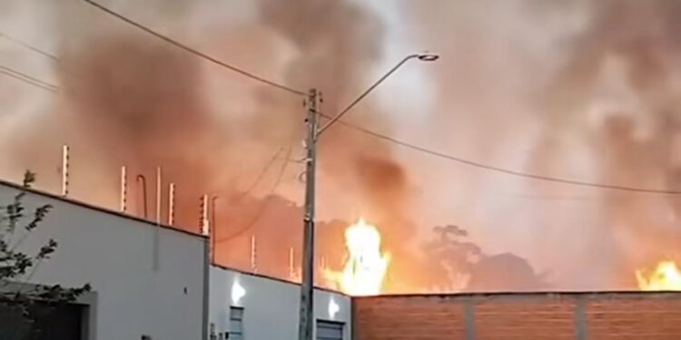 Bombeiros já atenderam 28 casos de incêndio em vegetação em Imperatriz só neste mês