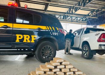 Casal é preso transportando 41 kg de maconha na BR-316 no Maranhão