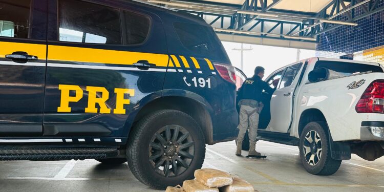 Casal é preso transportando 41 kg de maconha na BR-316 no Maranhão