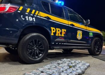 Polícia apreende mais de 43 kg de entorpecentes durante fiscalização na BR-316 no Maranhão