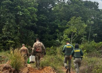 Operação conjunta entre PF e Ibama combate garimpo ilegal no Maranhão