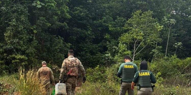 Operação conjunta entre PF e Ibama combate garimpo ilegal no Maranhão