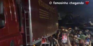 Morango do amor faz confeiteiras e empreendedores amanhecerem atrás de frutas após doce viralizar nas redes sociais