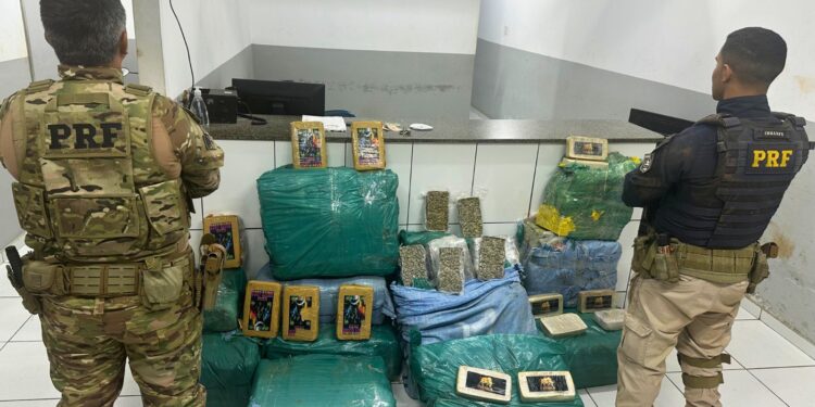 PRF apreende mais de 360 kg de drogas escondidas em caminhão na BR-230 no Maranhão