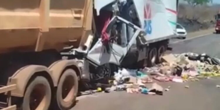 Motorista de caminhão morre após bater na traseira de carreta na BR-230, em Riachão