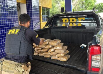 PRF apreende mais de 23 kg de skunk escondidos em veículo na BR-226, no Maranhão