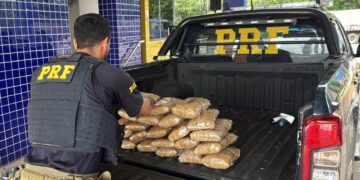 PRF apreende mais de 23 kg de skunk escondidos em veículo na BR-226, no Maranhão