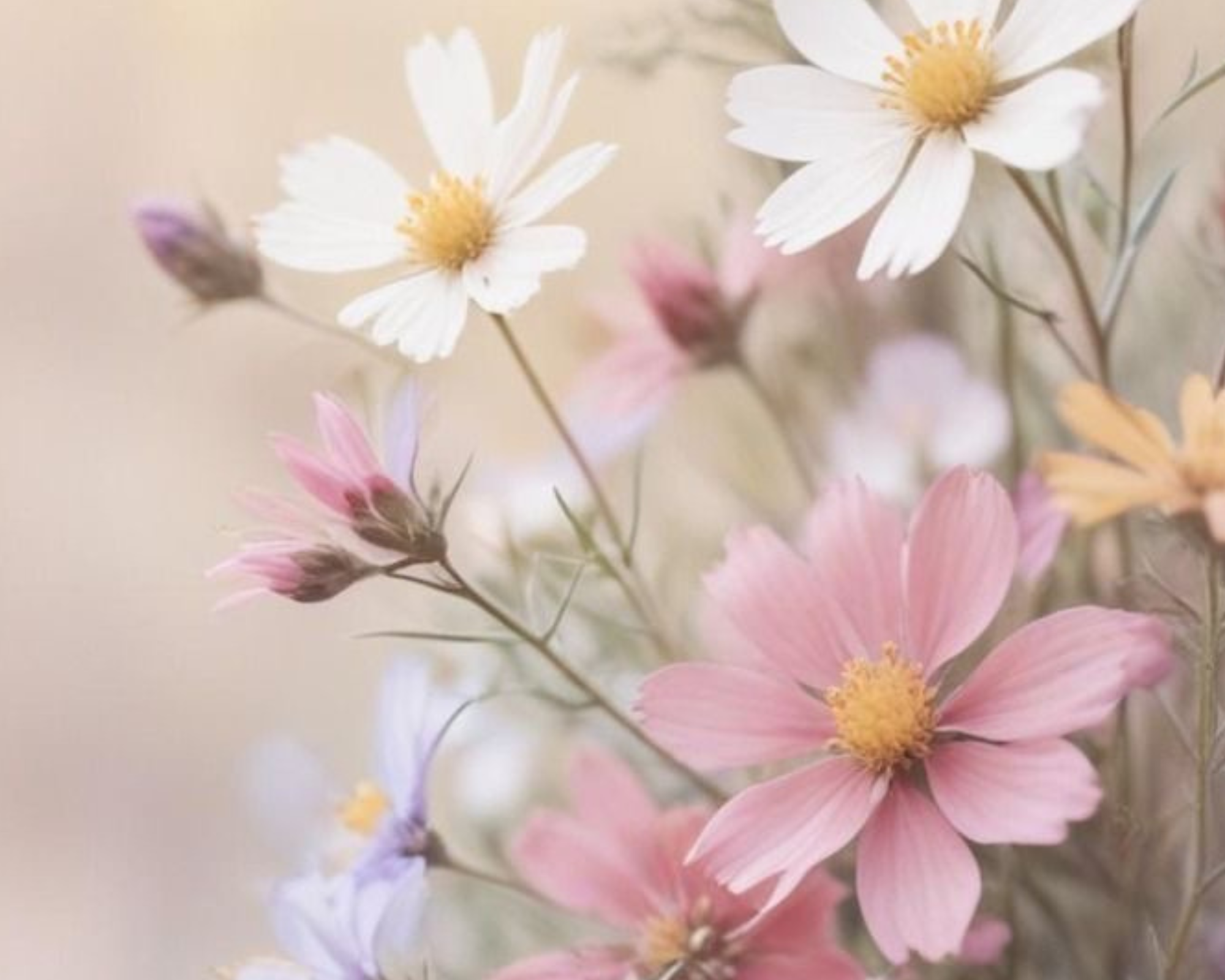 Kam až může zajít naše touha být přijatá? Kam až může zajít naše touha být přijatá?