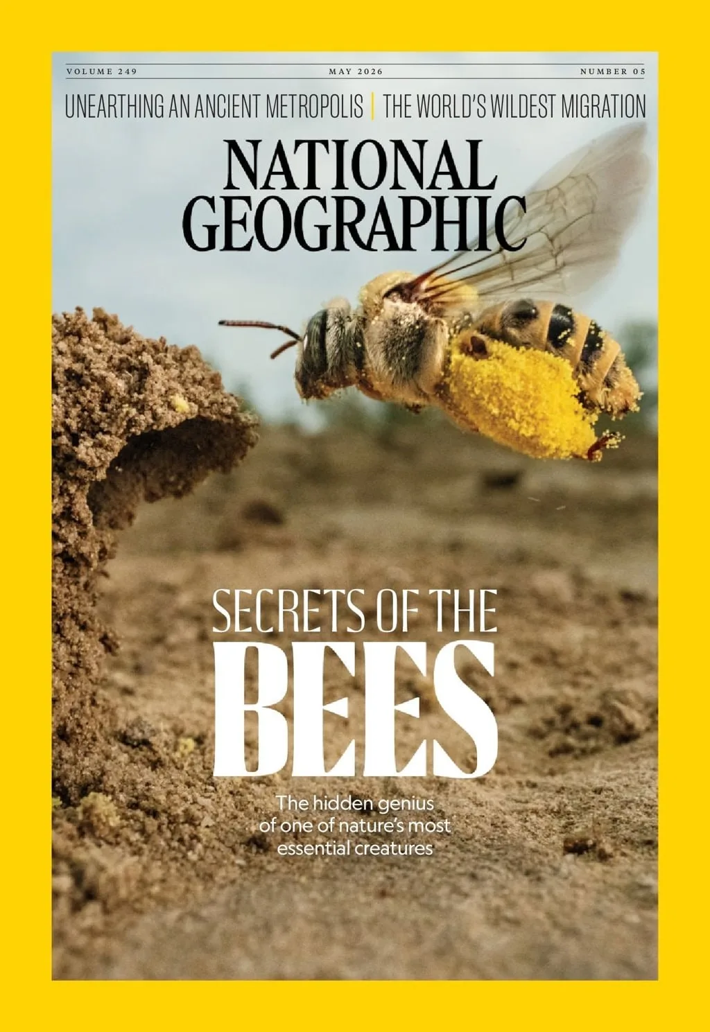 Buy subscription to National Geographic (English Edition) Magazine