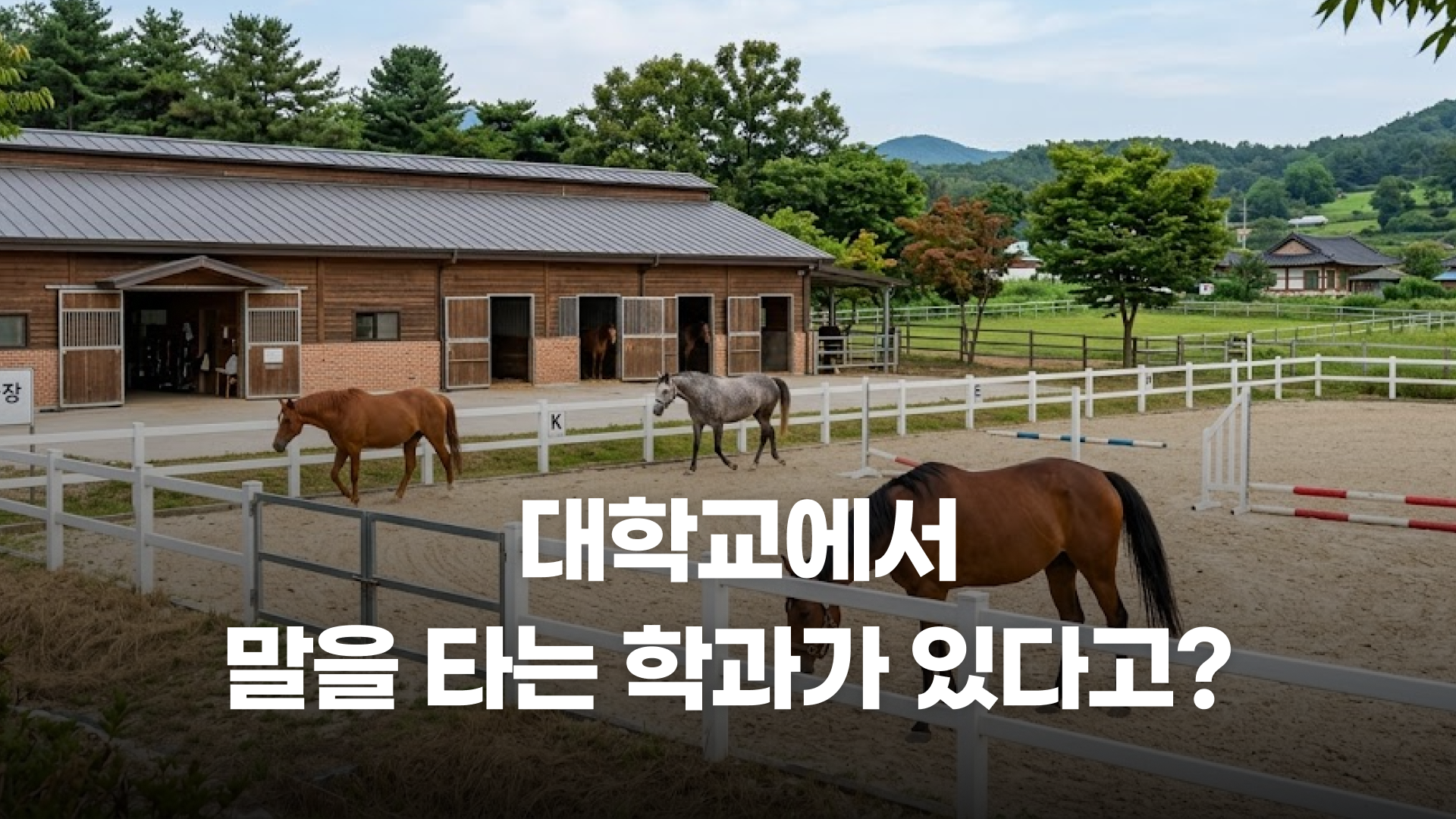 학교에서 말을 탈 수 있는 학과가 있다고?