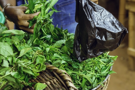 La commerçante de légumes remplit un sachet avec des feuilles d'adémè