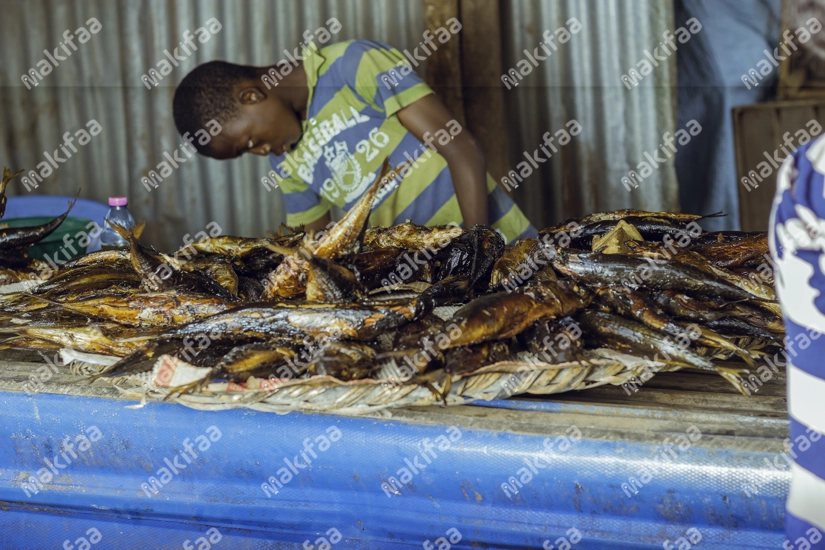 Un enfant derrière l'étalage de poisson au marché