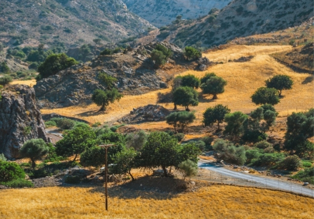 Διαδρομές