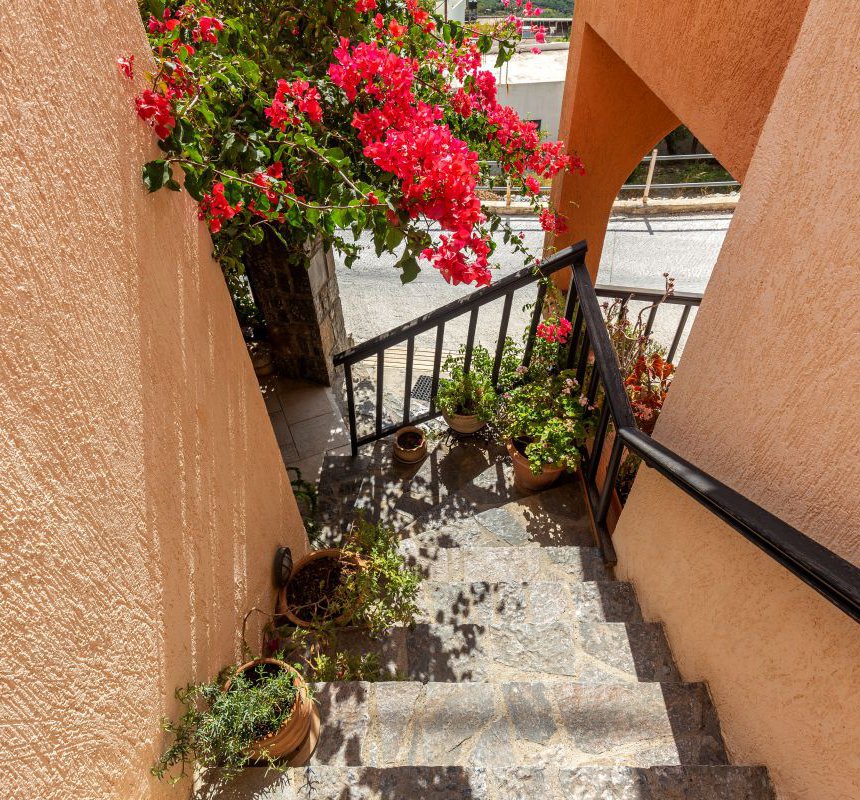 Η είσοδος της κατοικίας με τις σκάλες και τα φυτά σε κάθε πλευρά
