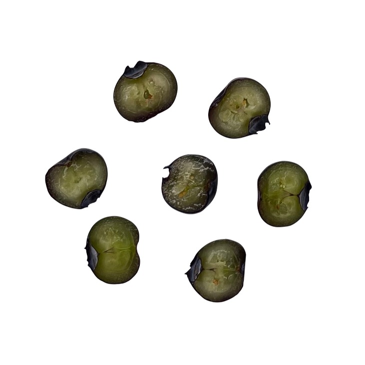 Cubos