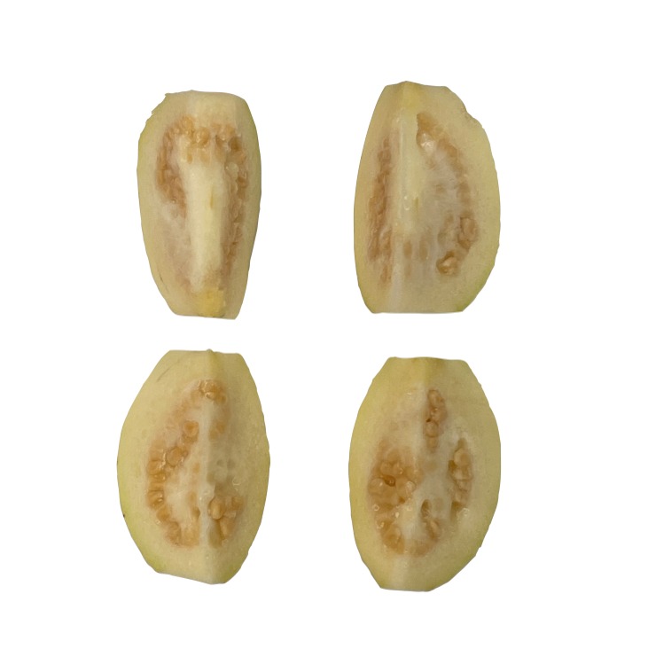 Palitos