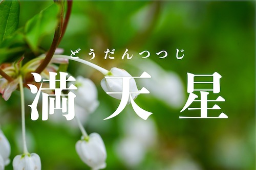 満天星」は何と読む？難読漢字クイズ｜美しい日本語 (33) - らくらくまめ得｜毎日をもっと楽しく！ちょっとお得に！