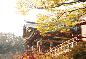 商売運アップ/商売繁盛・開運】商売運アップで有名な神社・お寺 商売運アップ/商売繁盛・開運】商売運アップで有名な神社・お寺