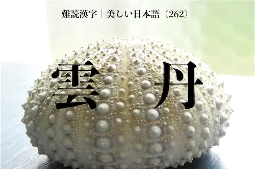 「雲丹」は何と読む？難読漢字クイズ｜美しい日本語 (262)