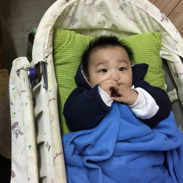 諺諺會吃手雞腿了。