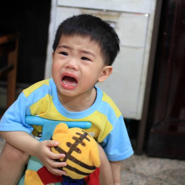 我不喜歡坐小馬桶怎麼辦