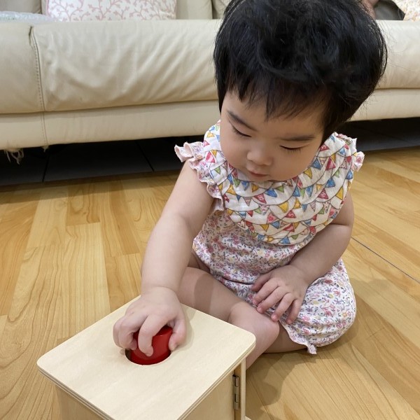 操作教具-開門、對準洞口放入物體