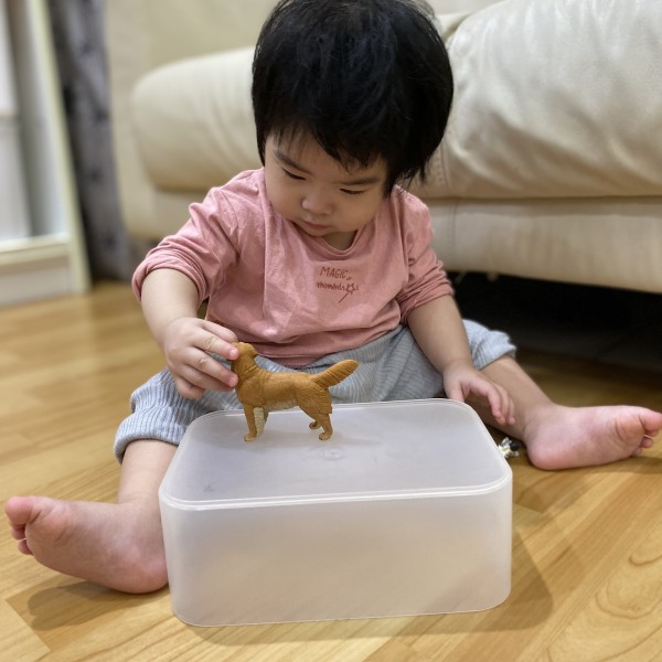 認知活動-認識動物