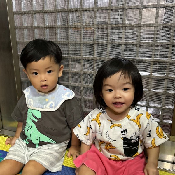 楷楷