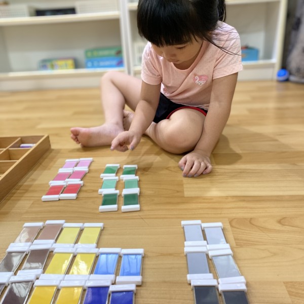 認知活動-色卡排序