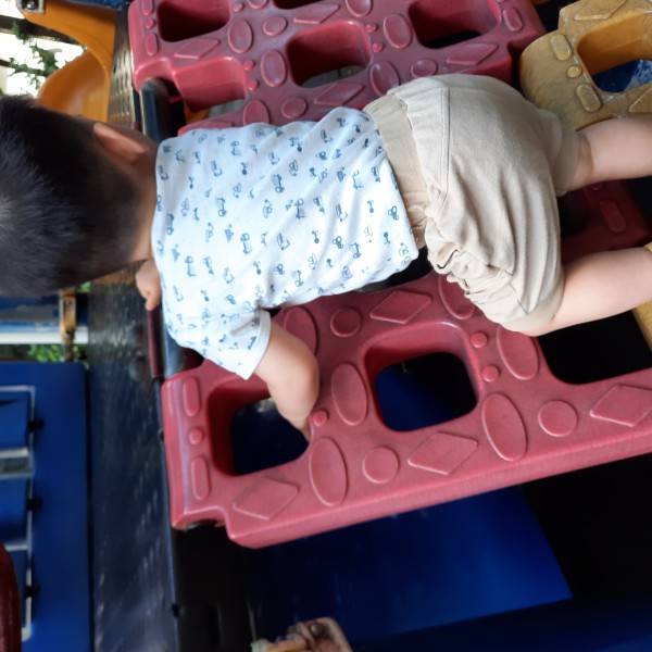 自己可以攀爬上去