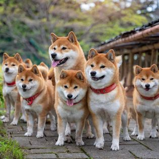 特賣3