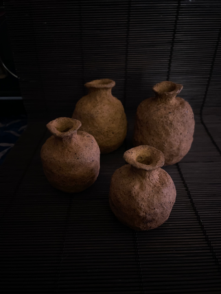 澎湖野器