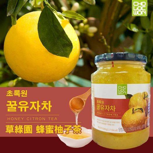 49-47179 韓國草綠園 蜂蜜柚子茶 580g