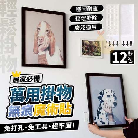 18-510245 居家萬用掛物無痕魔術貼(12對一包)(買一送一)
