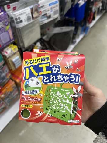 49-16384 日本 大創 果蠅剋星 兩用捕蠅吊掛/放置盒 30日
