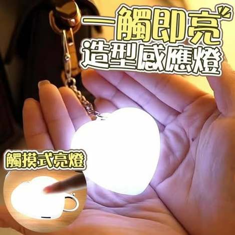 31-65430 一觸即亮造型感應燈