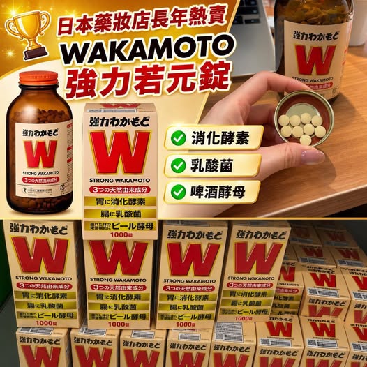 78A-14373 日本境內版 腸胃的好幫手  日本諾元錠