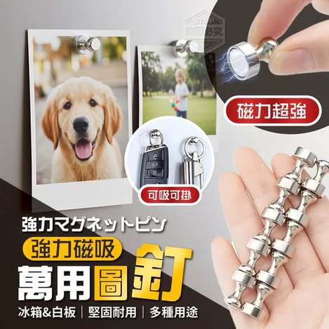40-67068 強力磁吸冰箱白板辦公萬用圖釘(10入)