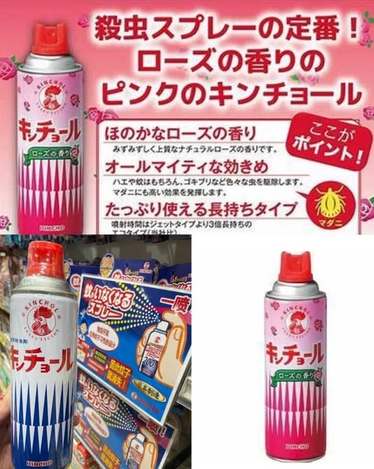 X3 26-00909 日本金鳥3倍持久效用萬用防蚊噴霧(450ml)