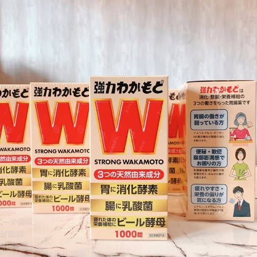 78A-33671 日本 WAKAMOTO 若元1000錠
