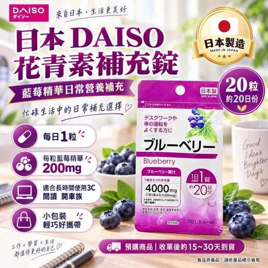 49-610365 日本 DAISO 藍莓補充錠 20粒｜約20日份[紫色