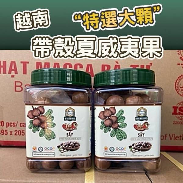 越南帶殼夏威夷果S0102