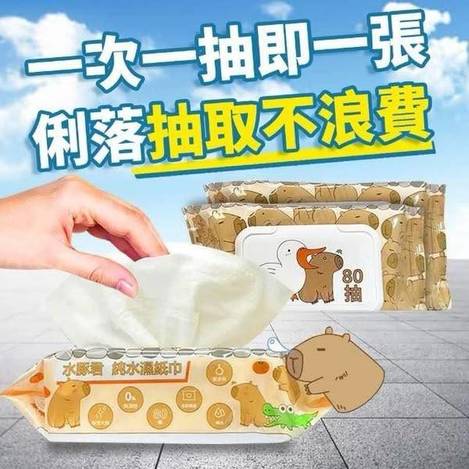 C*421卡皮巴拉 水豚君純水濕紙巾3包