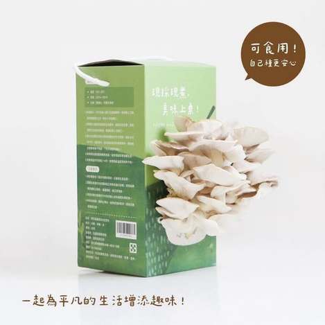 [20個以上免](L2607118)台灣 秀珍菇DIY種植組