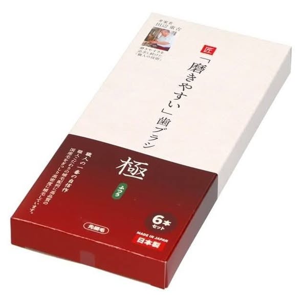 (D2609022)日本 職人考案 錐形窄刷頭細毛牙刷/6支裝