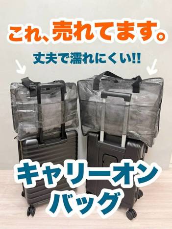 【🇯🇵日本3COINS 登機神包✈️】