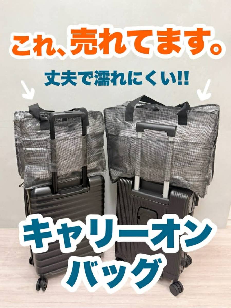 【🇯🇵日本3COINS 登機神包✈️】