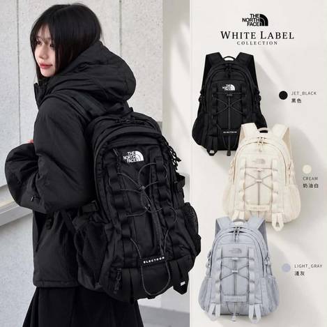 🇰🇷 THE NORTH FACE 輕量機能後背包