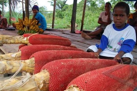 10 Manfaat Sari  Buah Merah Untuk Kanker Bagi Kesehatan 